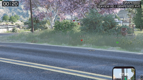 FiveM GTAProcess u1babEGPD6.jpg