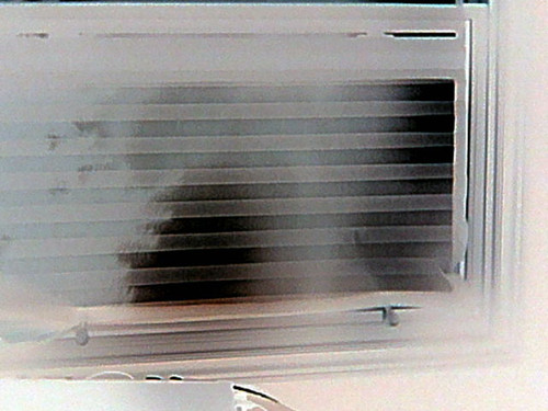 HNI 0081.jpg
