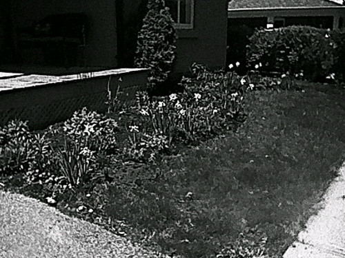 HNI 0094.jpg