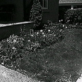 HNI 0094