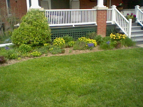 HNI 0056.jpg
