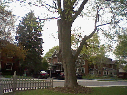 HNI 0055.jpg