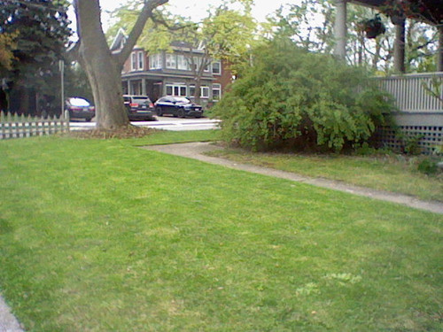 HNI 0054.jpg