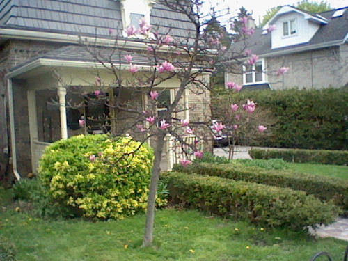 HNI 0057.jpg
