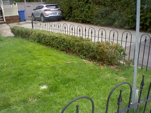 HNI 0058.jpg