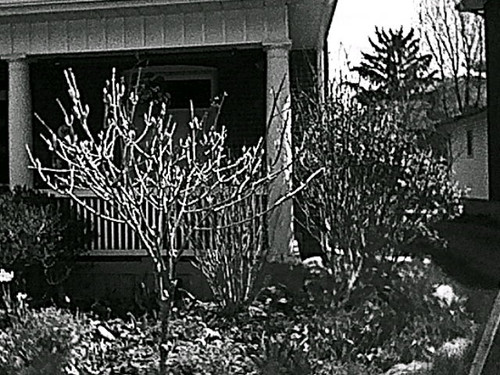 HNI 0099.jpg