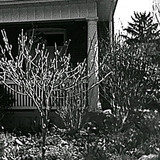 HNI 0099