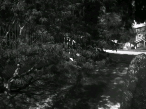 HNI 0097.jpg