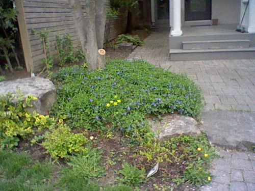 HNI 0059.jpg
