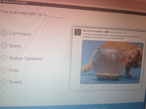 temp.png