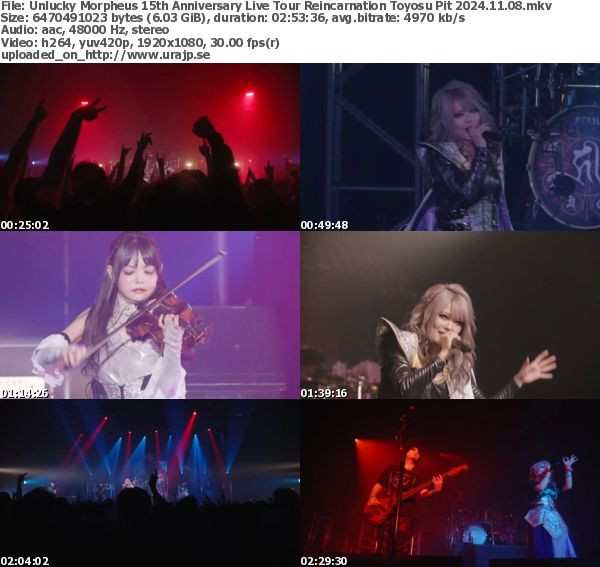 Unlucky Morpheus – 15th Anniversary Live REINCARNATION (Web Broadcast 2024.11.08)