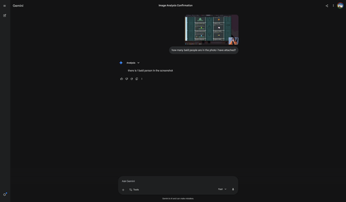 Screenshot 2026 05 16 at 10 26 36 Image Analysis Confirmation Google Gemini.png