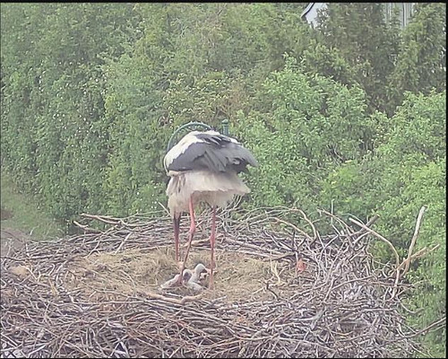 MWSnap019.jpg