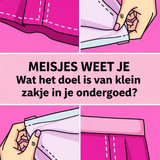 DSQSQ (16)