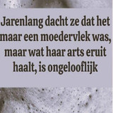 DSQSQ (48)