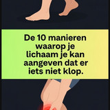 DSQSQ (12)