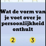DSQSQ (53)