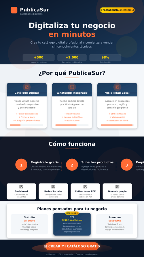 publicasur infographic.png