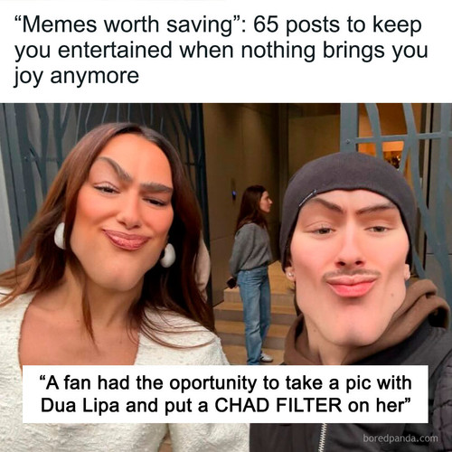 funny memes (1).jpg