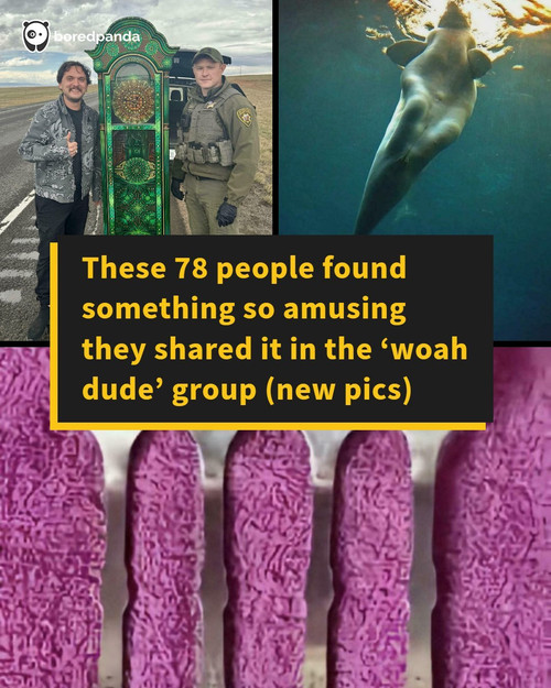 surreal pics.jpg