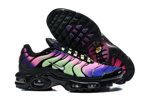 Nike Air Max Plus TN Rainbow.webp