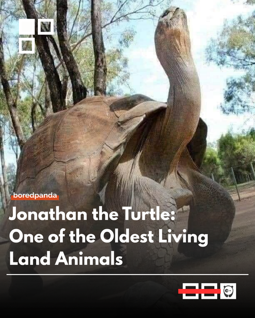 Johnathan.png