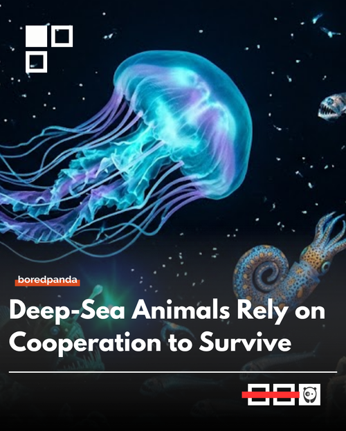 deep sea.png