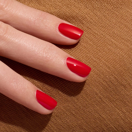 Poppy Red 2.jpg