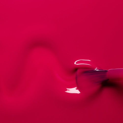 Fuchsia 3.jpg