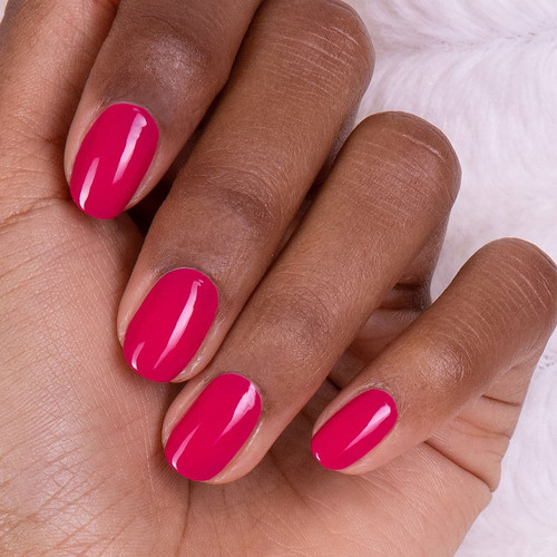 Fuchsia 2.jpg
