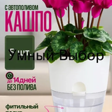 776cc4dc0678.png