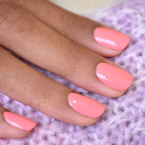 Pink Paradise 2.jpg