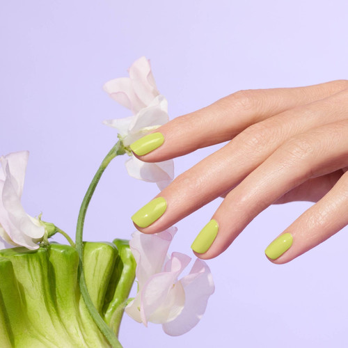 Lime 5.jpg