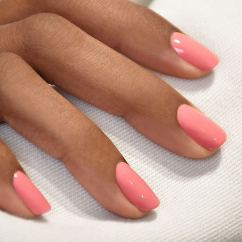Pink Paradise 9.jpg