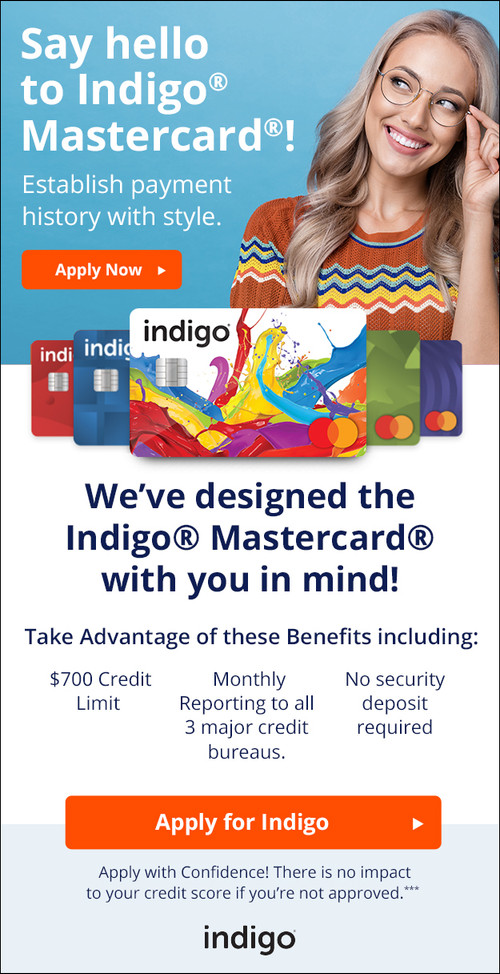 Indigo EC 1.jpg