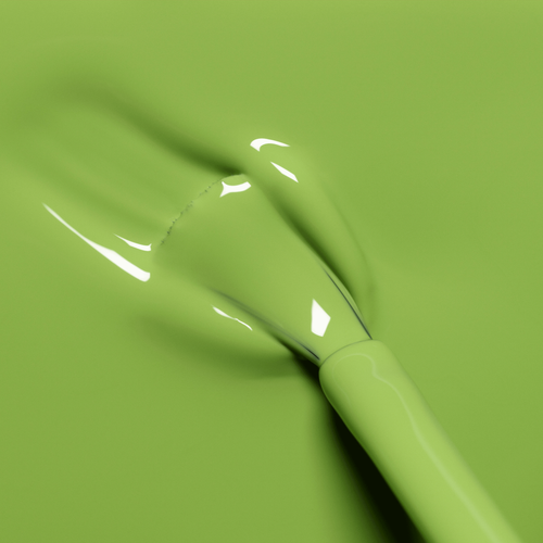 Petit Pois 4.png