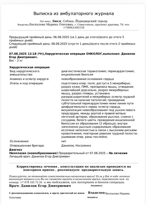 IMG 8524.jpg