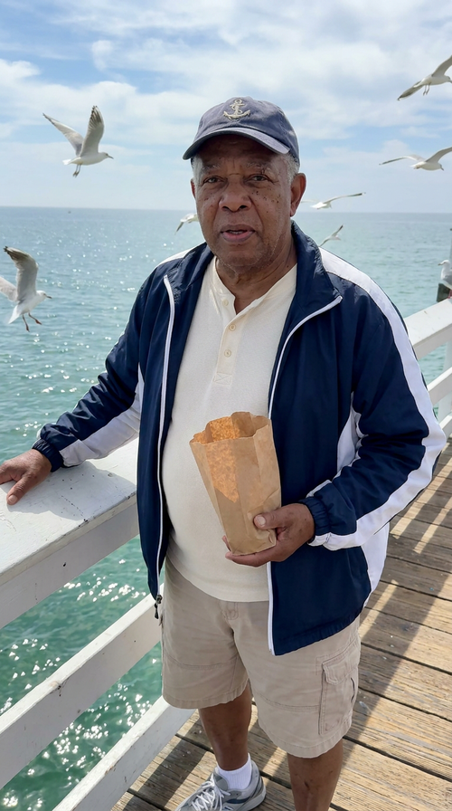 27 roosevelt pier seagulls.png