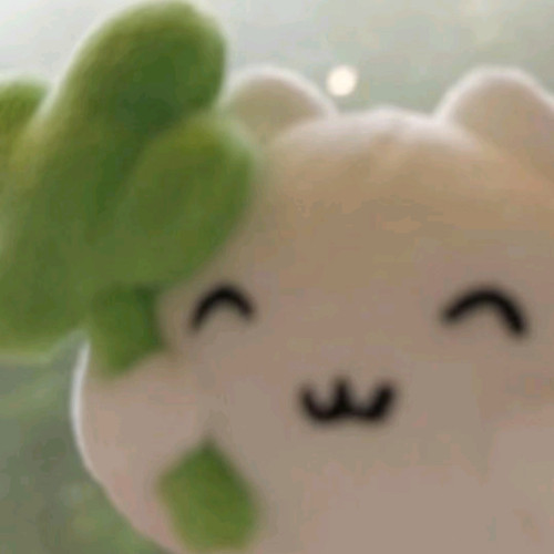 da360a5f9a3f.jpg