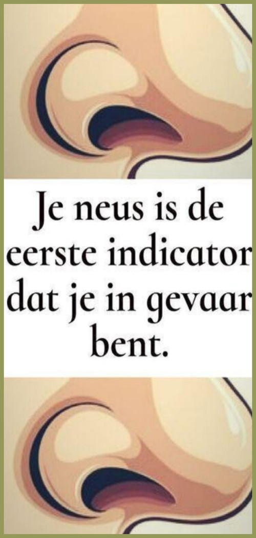 DSCX (57).jpg
