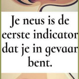 DSCX (57)