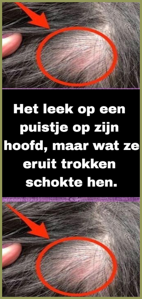 DSCX (58).jpg