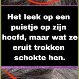 DSCX (58)