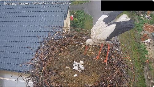 MWSnap548.jpg