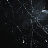 ezgif 58749d039b38566d.gif