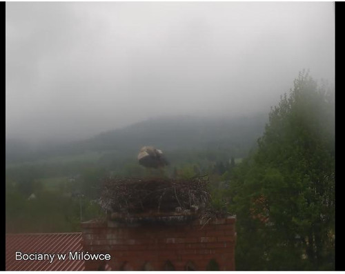 MWSnap470.jpg