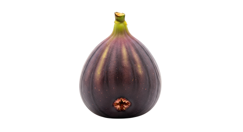 f3e08fb9a142.png