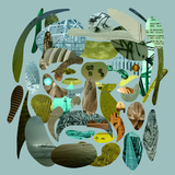 d726e4a21442.png