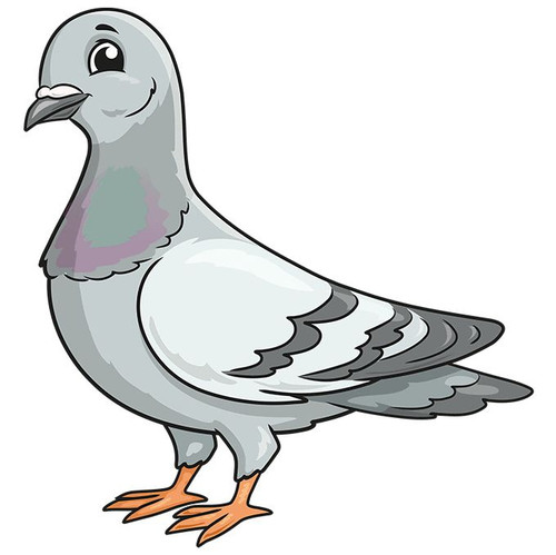 How to Draw a Pigeon.jpg