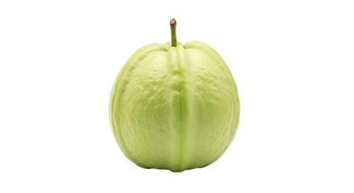 81f4842a21d6.png